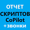 Отчет Анализ оценок скриптов звонков Ai CoPilot + звонки